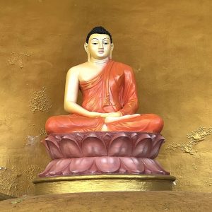 Personal coaching session