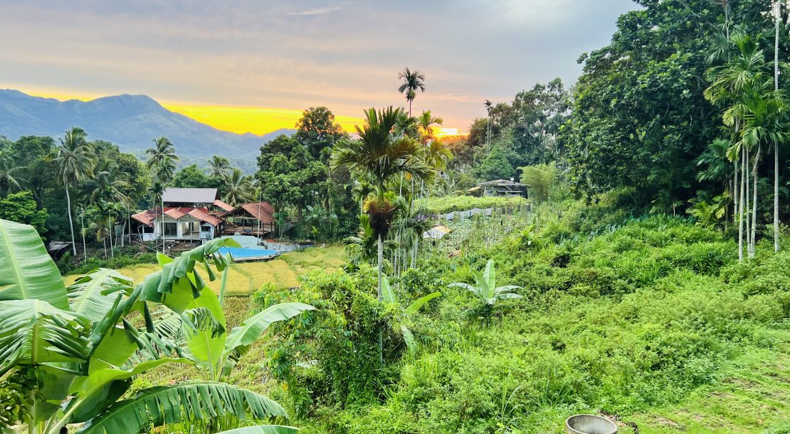 Touch of Paradise